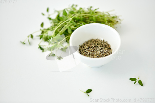 Image of fresh thyme and dry seasoning on white background