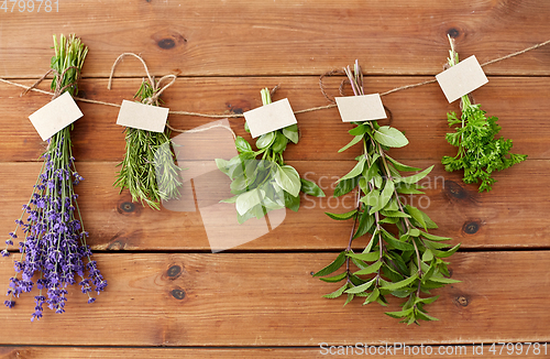 Image of greens, spices or medicinal herbs on wood