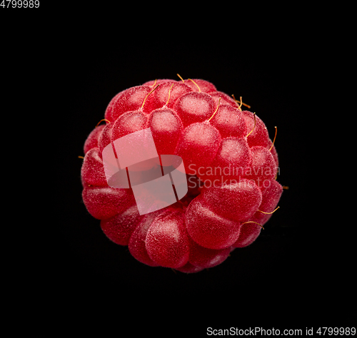 Image of fresh raspberry macro