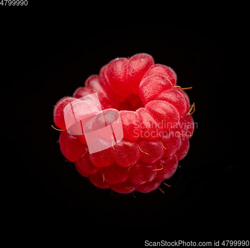 Image of fresh raspberry macro