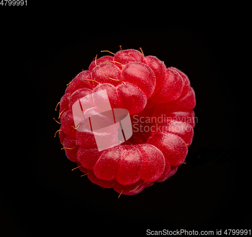 Image of fresh raspberry macro