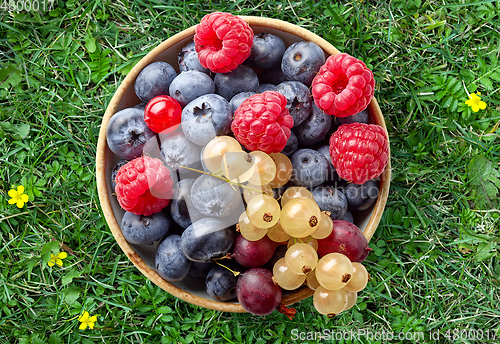 Image of bowl of fresh berries