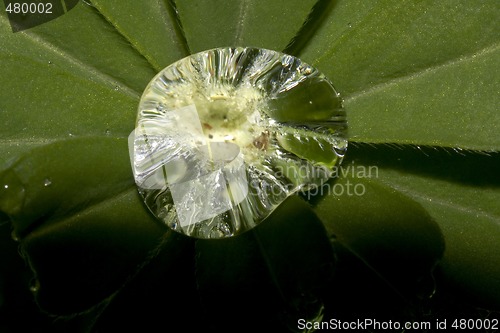 Image of raindrop