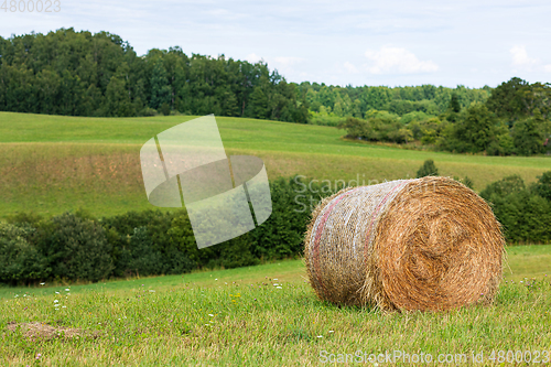 Image of hay roll on the field