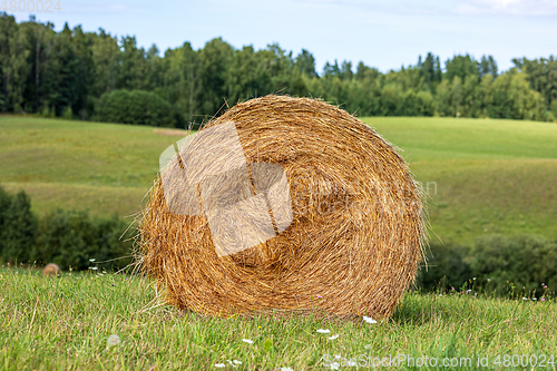 Image of hay roll on the field