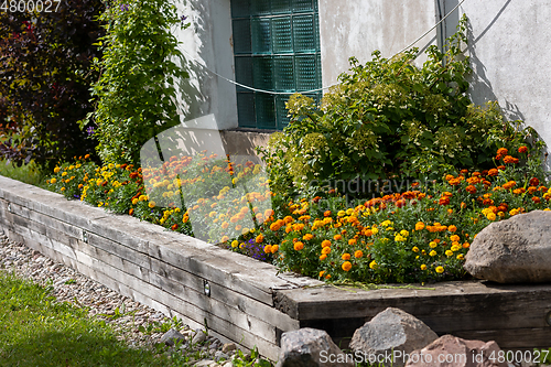 Image of beautiful rustic flower bed