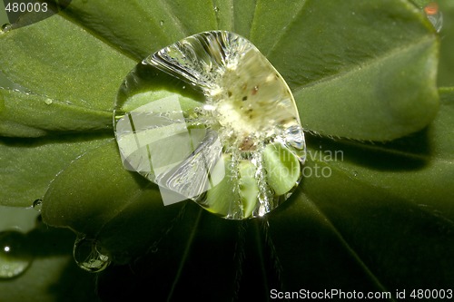 Image of raindrop