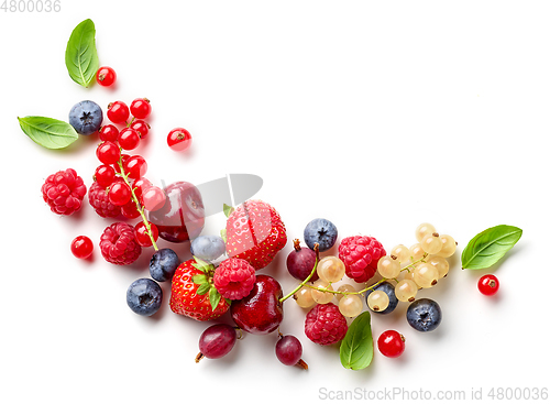 Image of composition of fresh berries and green leaves