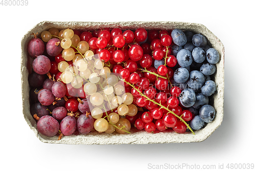 Image of various fresh organic berries