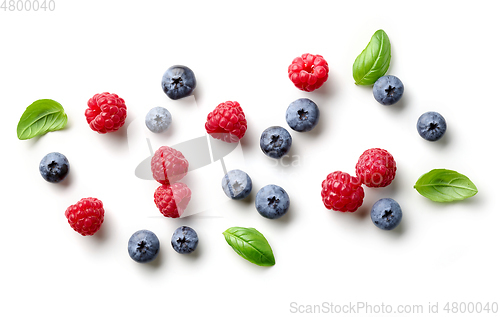 Image of composition of fresh berries and green leaves