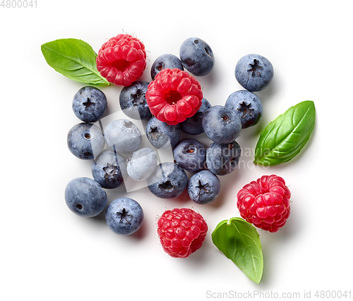 Image of composition of fresh berries and green leaves