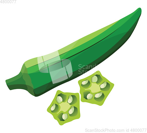 Image of Green okra with light green okra slices vector illustration of v