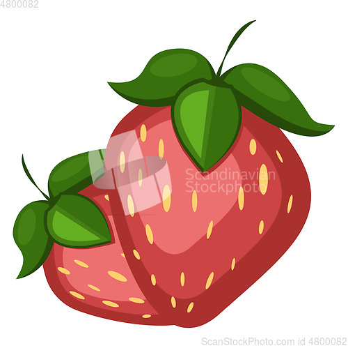 Image of Two Strawberries, vector color illustration.