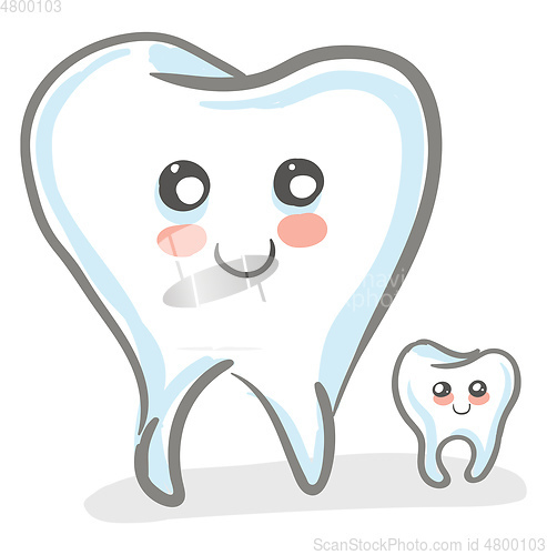 Image of A pair of cute teeth vector or color illustration