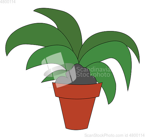 Image of Home flower in a flowerpot illustration vector on white backgrou
