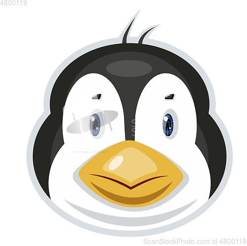 Image of Penguin Bird, vector color illustration.