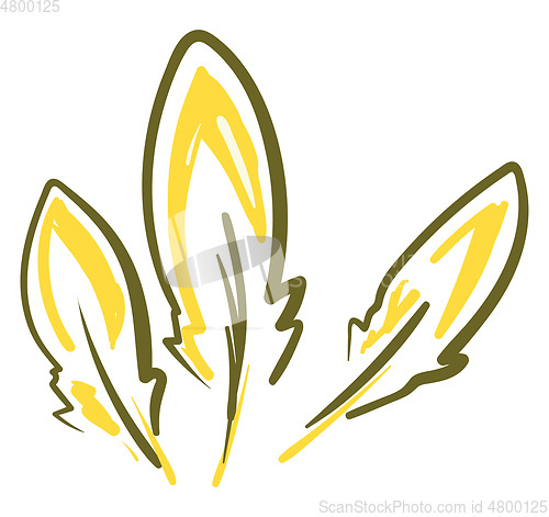 Image of Painting of yellow and green feathers vector or color illustrati