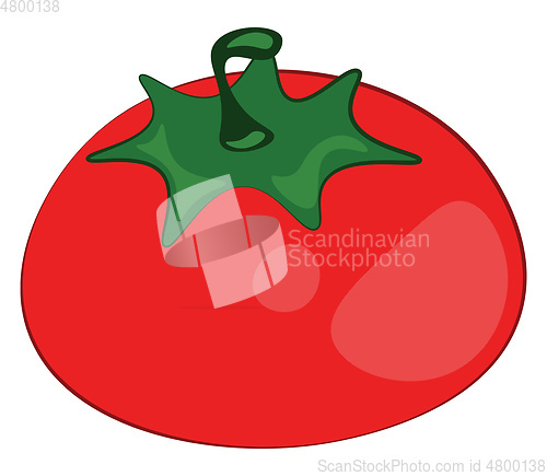 Image of Picture of a farm fresh healthy nutritious red tomato fruit vect