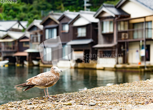 Image of Water House of Ine Cho and seagull