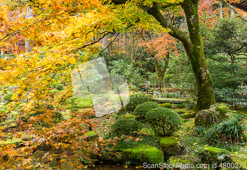 Image of Japanese garden with autuman season