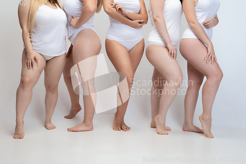 Image of Portrait of beautiful plus size young women posing on white background