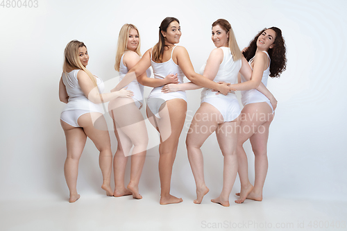 Image of Portrait of beautiful plus size young women posing on white background