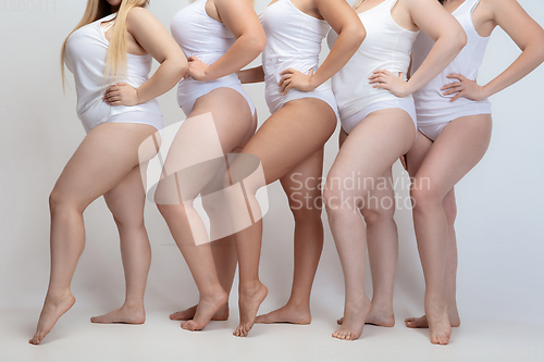 Image of Portrait of beautiful plus size young women posing on white background