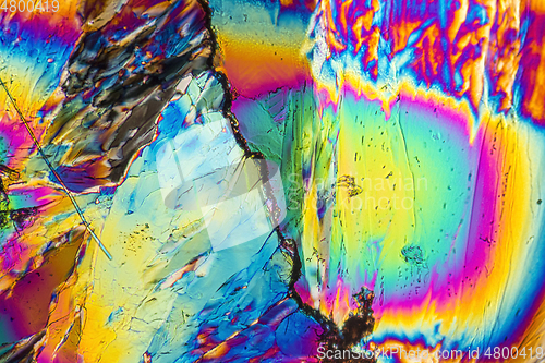 Image of Trisodium citrate microcrystals