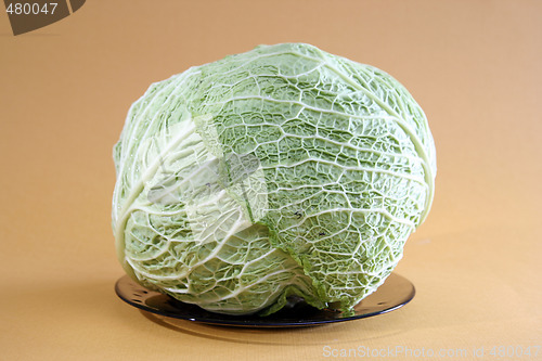 Image of Green cabbage vegetable