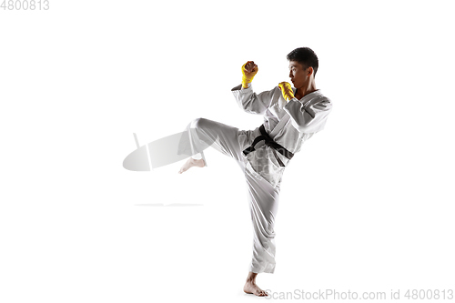 Image of Confident korean man in kimono practicing hand-to-hand combat, martial arts