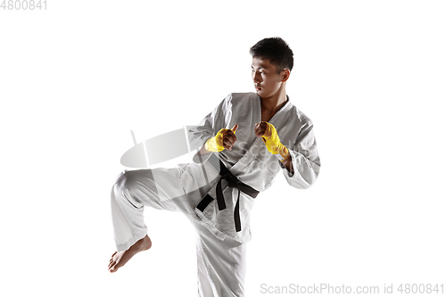 Image of Confident korean man in kimono practicing hand-to-hand combat, martial arts