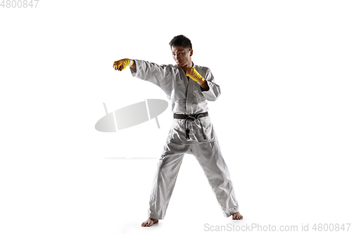 Image of Confident korean man in kimono practicing hand-to-hand combat, martial arts