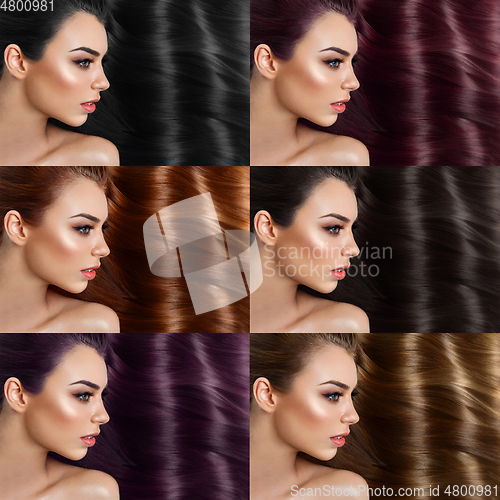 Image of beautiful girl with different hair dye colors