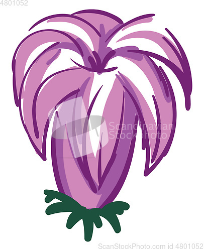 Image of Purple lily flower illustration color vector on white background