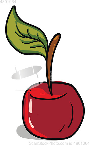 Image of A cute little red cartoon cherry with a green leaf vector or col