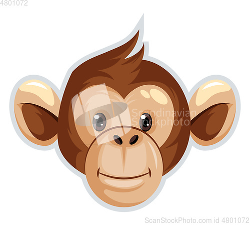 Image of Monkey, vector color illustration.