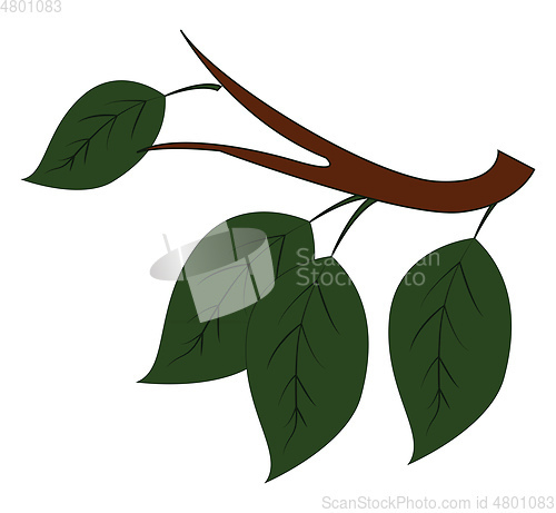 Image of Four green leaves on brown branch vector illustration on white b