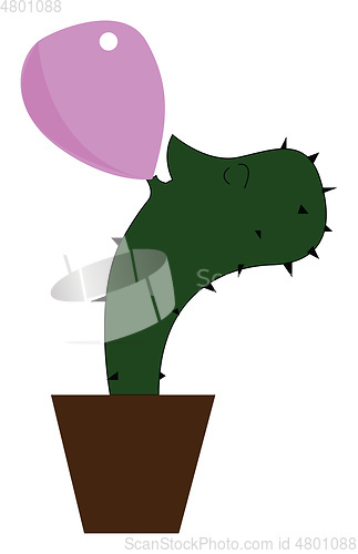 Image of A large green potted cactus vector or color illustration