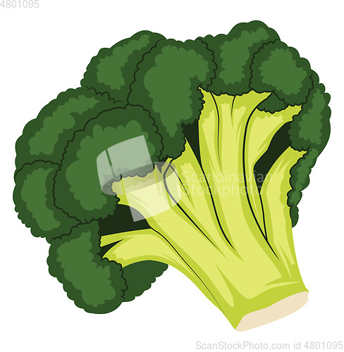 Image of Dark green and light green cartoon of broccoli vector illustrati