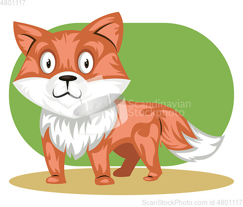 Image of Orange Cat, vector color illustration.