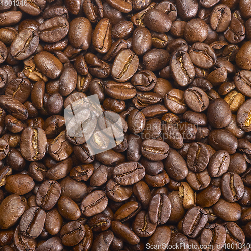 Image of coffee beans closeup