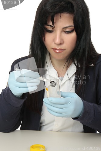 Image of Inspecting evidence