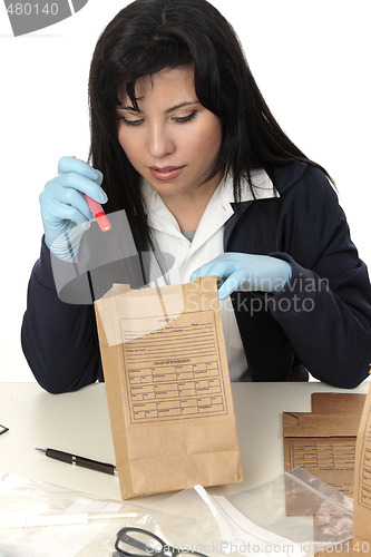Image of Inspecting evidence