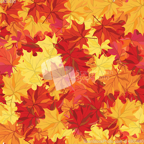 Image of Seamless autumn maple leaves 