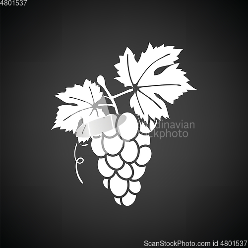 Image of Grape icon