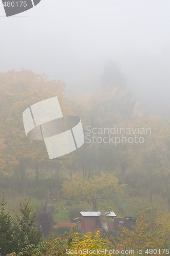 Image of Fog in Autumn