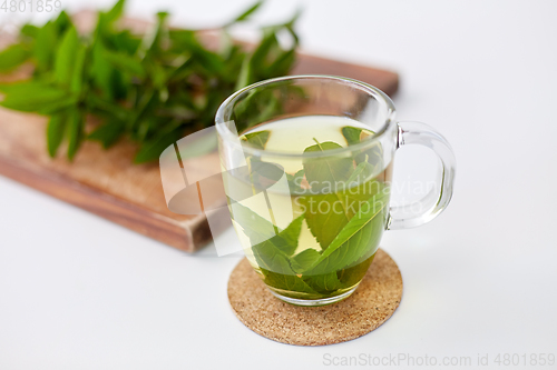 Image of herbal tea with fresh peppermint on wooden board