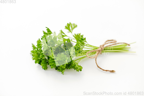 Image of bunch of parsley on white background