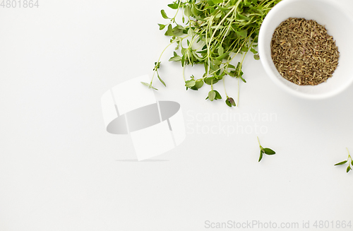 Image of fresh thyme and dry seasoning on white background