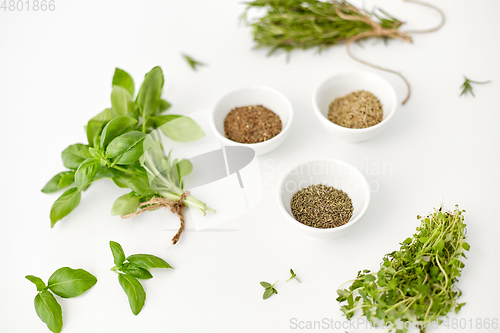 Image of fresh and dry seasoning on white background